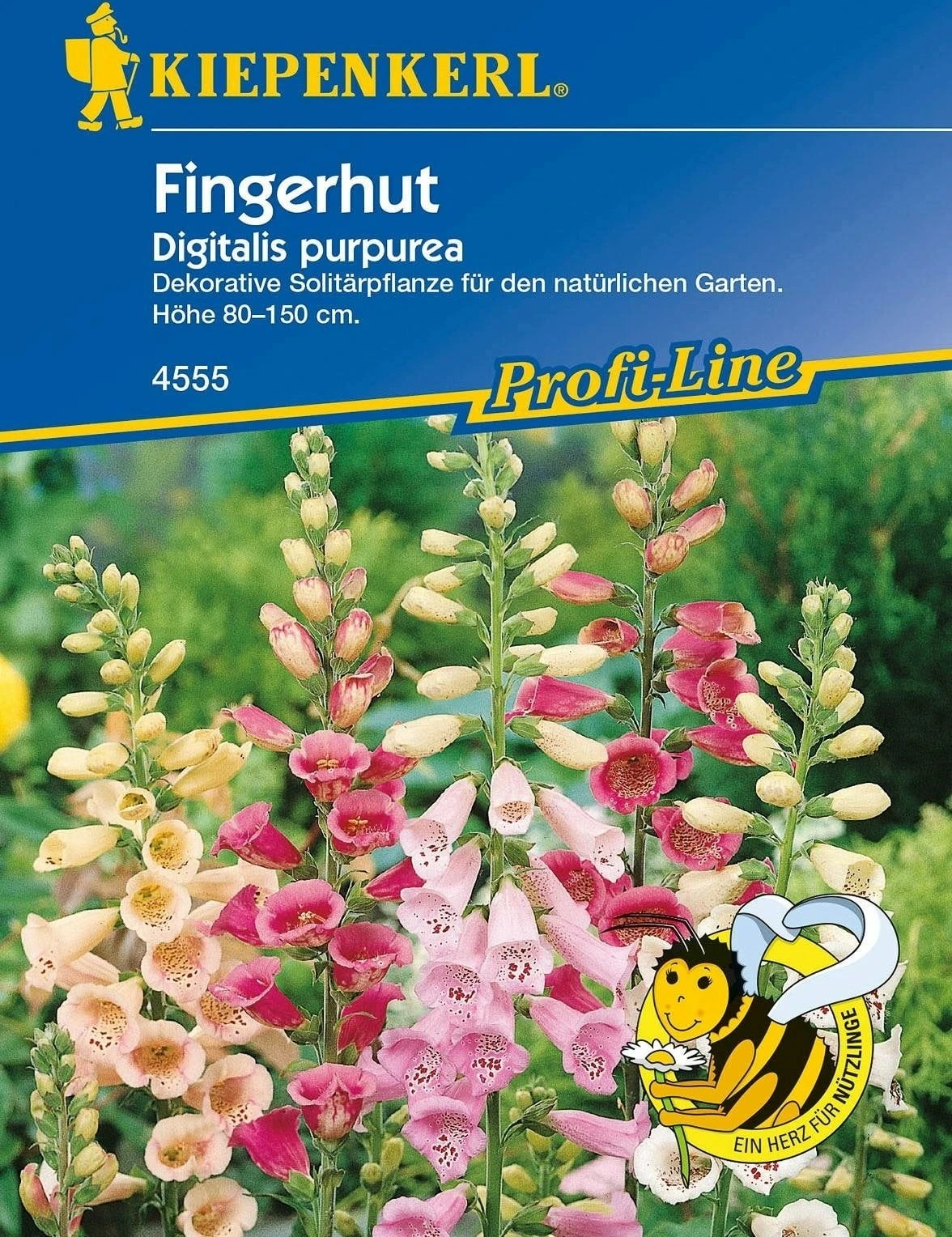 Digitale 2 Digitale - immagine 2