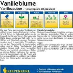 Eliotropio "Vanillezauber"