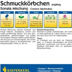 Mix Di Cosmea "Sonata"