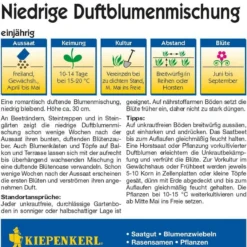 Mix Di Fiori Profumati Bassi