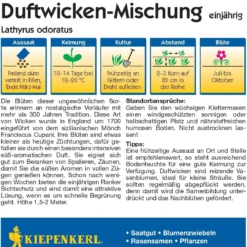 Mix Di Pisello Odoroso