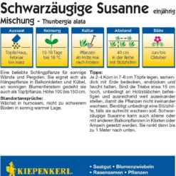 Mix Di Susanna Dagli Occhi Neri