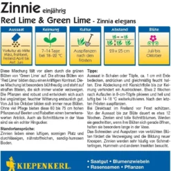 I più venduti -Negozio Lush Orto Economico kiepenkerl zinnia red lime green lime 1517022 it