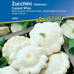 Negozio Lush Orto Economico -Negozio Lush Orto Economico kiepenkerl zucca custard white 1174526 it