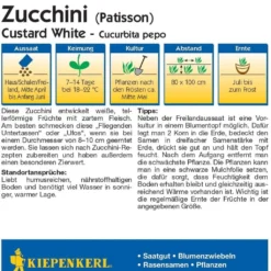 Zucca "Custard White", 1 Confezione
