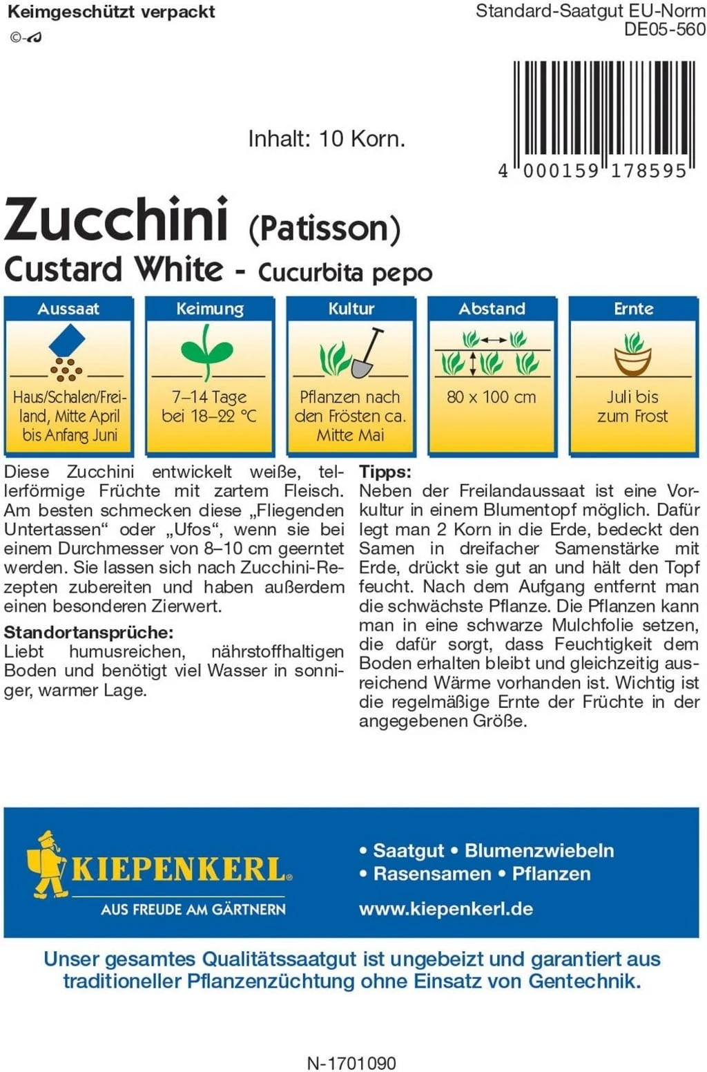 Zucca "Custard White", 1 Confezione 1 Zucca "Custard White", 1 Confezione