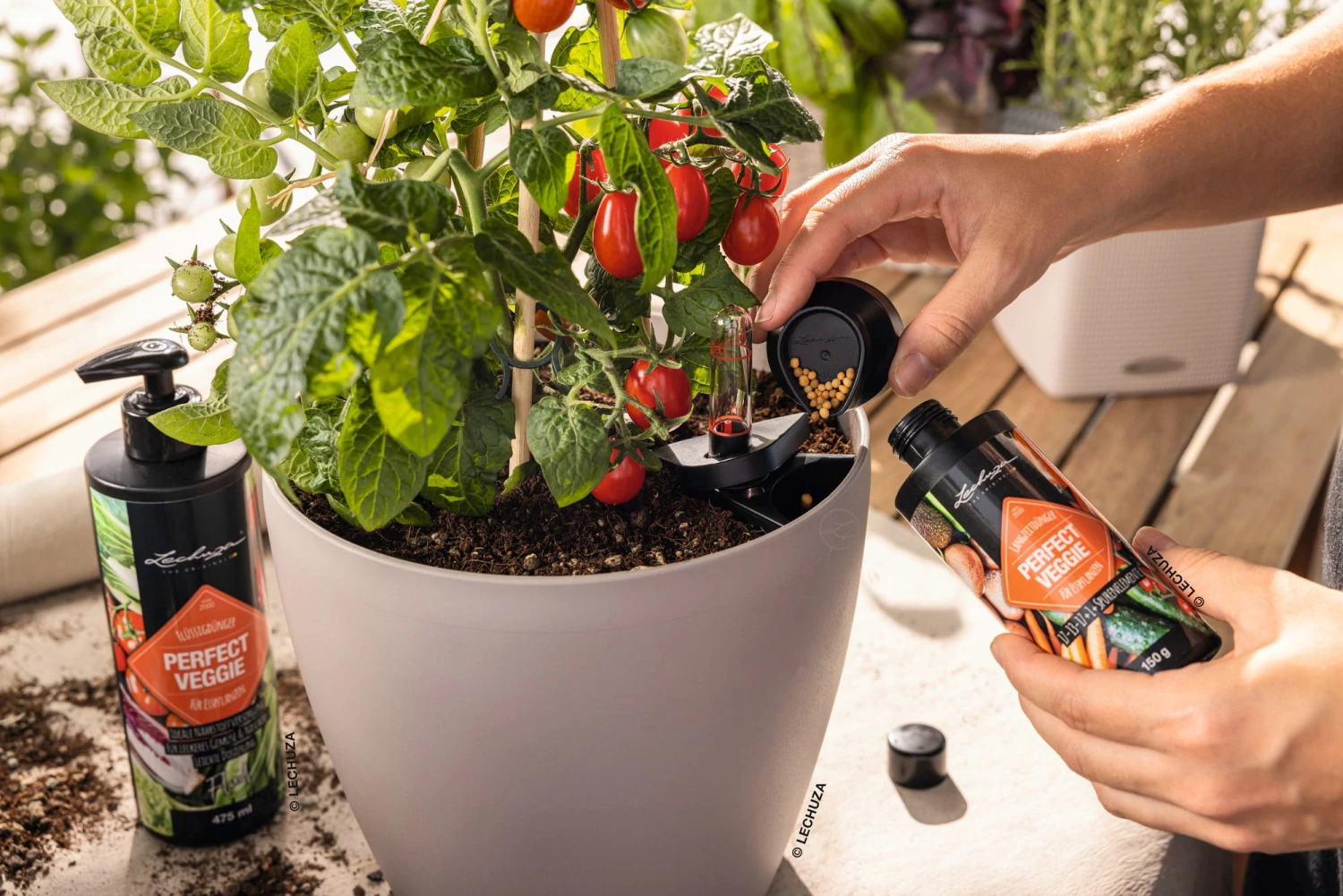 LECHUZA Fertilizzante Liquido "Perfect Veggie" 4 LECHUZA Fertilizzante Liquido "Perfect Veggie" - immagine 4