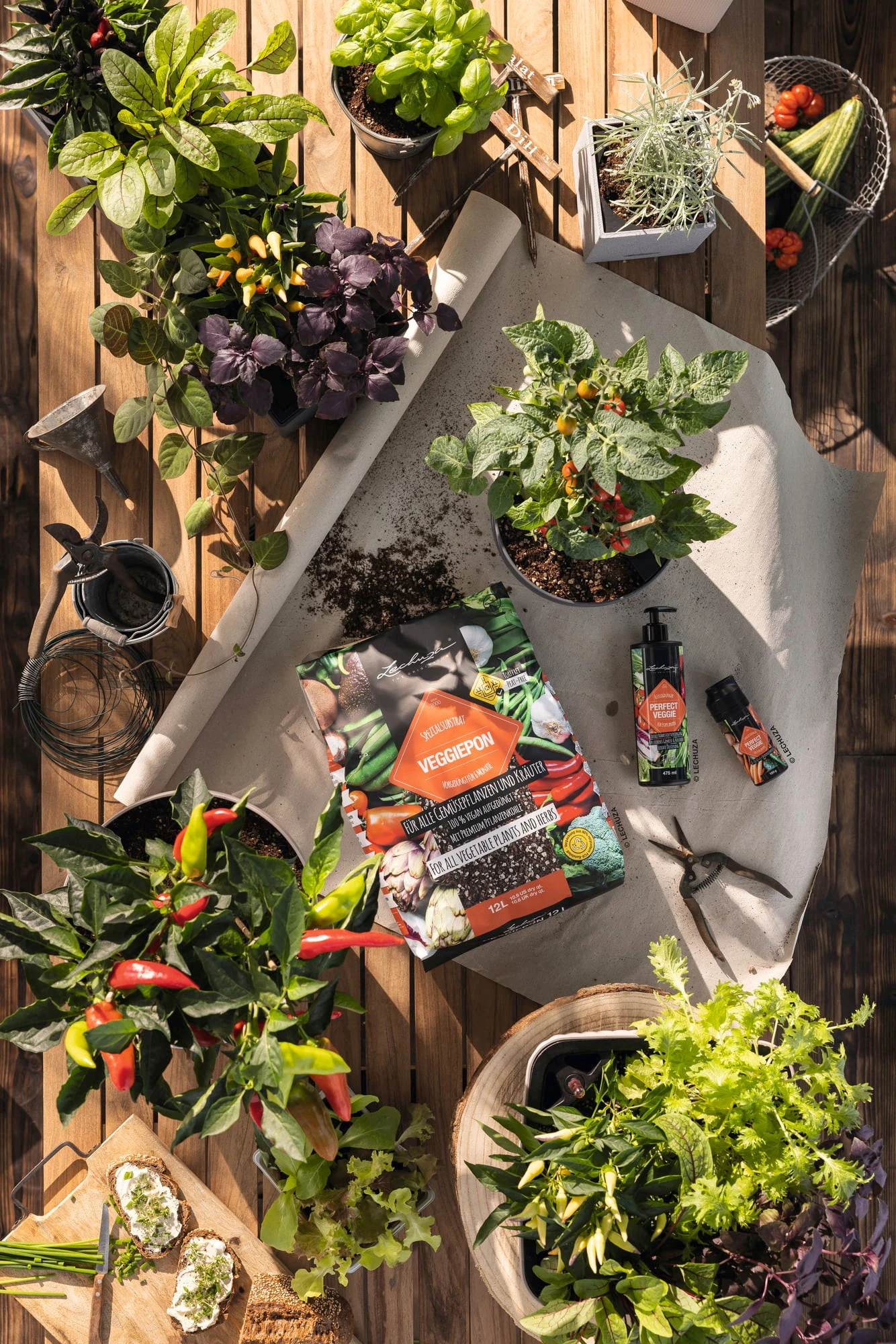 LECHUZA Fertilizzante Liquido "Perfect Veggie" 2 LECHUZA Fertilizzante Liquido "Perfect Veggie" - immagine 2