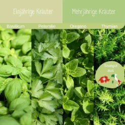 Set Bio Per Coltivazione - Erbe Aromatiche 11 Set Bio Per Coltivazione - Erbe Aromatiche -Negozio Lush Orto Economico loveplants set bio per coltivazione erbe aromatiche 1547251 it