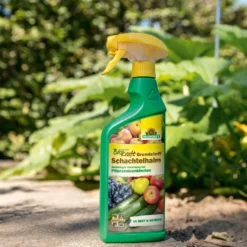 Materie Base Dell'Equiseto Pronta All'Uso - BioKraft, 500 Ml 8 Materie Base Dell'Equiseto Pronta All'Uso - BioKraft, 500 Ml -Negozio Lush Orto Economico neudorff materie base dellequiseto pronta alluso biokraft 1477056 it