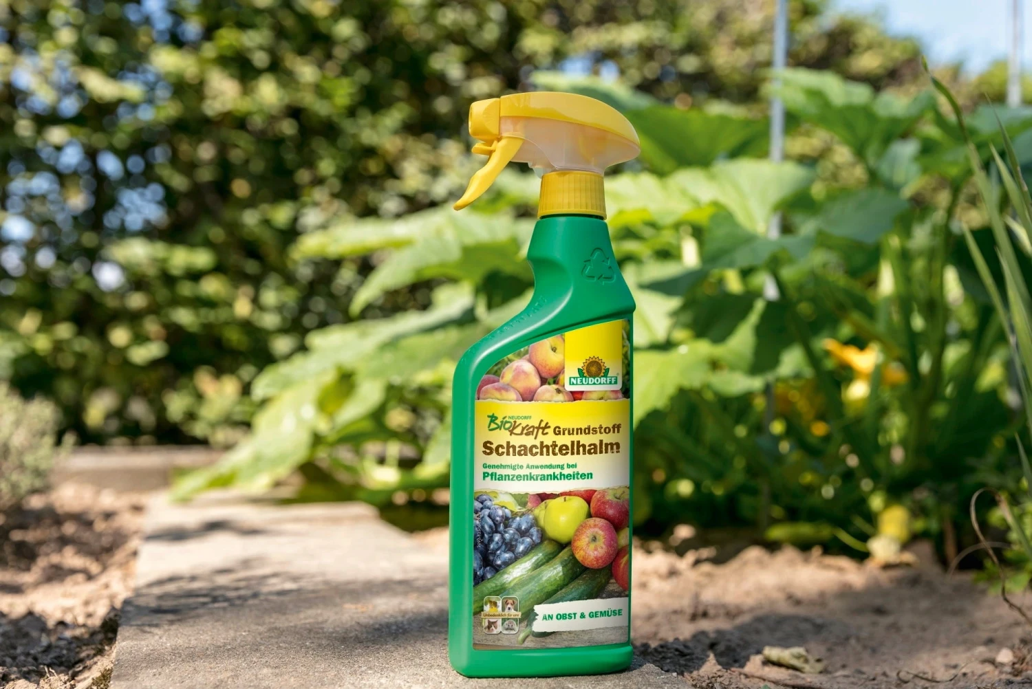 Materie Base Dell'Equiseto Pronta All'Uso - BioKraft, 500 Ml 4 Materie Base Dell'Equiseto Pronta All'Uso - BioKraft, 500 Ml - immagine 4