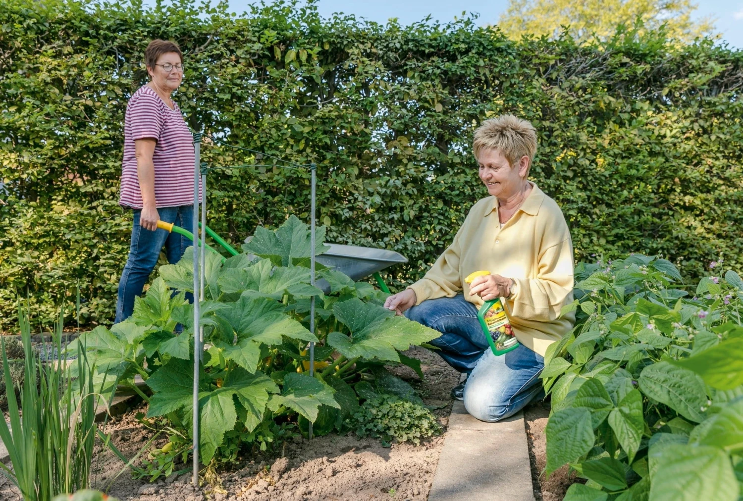 Materie Base Dell'Equiseto Pronta All'Uso - BioKraft, 500 Ml 1 Materie Base Dell'Equiseto Pronta All'Uso - BioKraft, 500 Ml