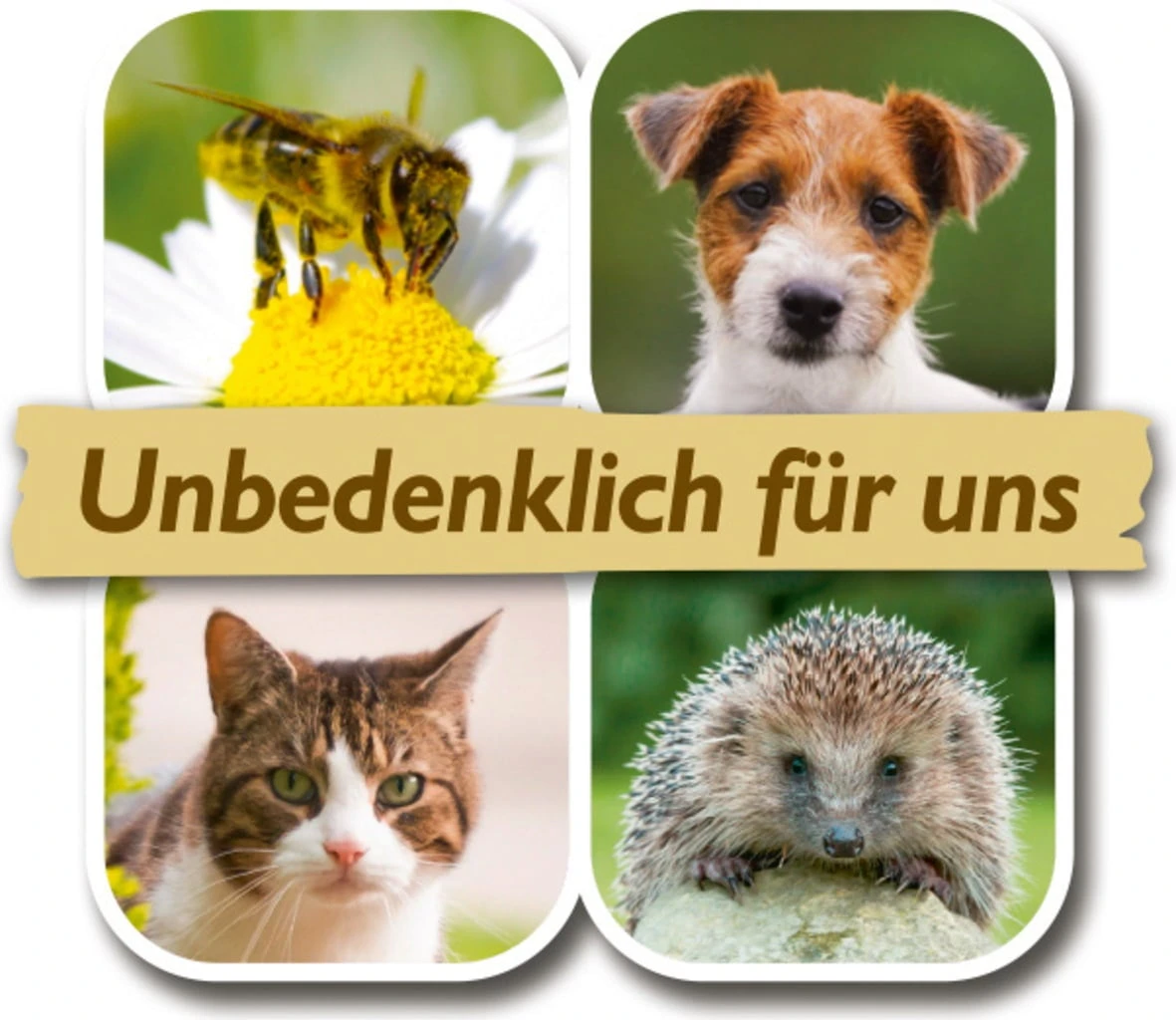 Materie Base Dell'Equiseto Pronta All'Uso - BioKraft, 500 Ml 5 Materie Base Dell'Equiseto Pronta All'Uso - BioKraft, 500 Ml - immagine 5