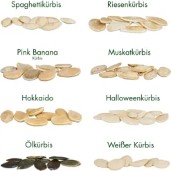 Semi Di Semi - 8 Zucche 13 Semi Di Semi - 8 Zucche -Negozio Lush Orto Economico own grown semi di semi 8 zucche 1679562 it