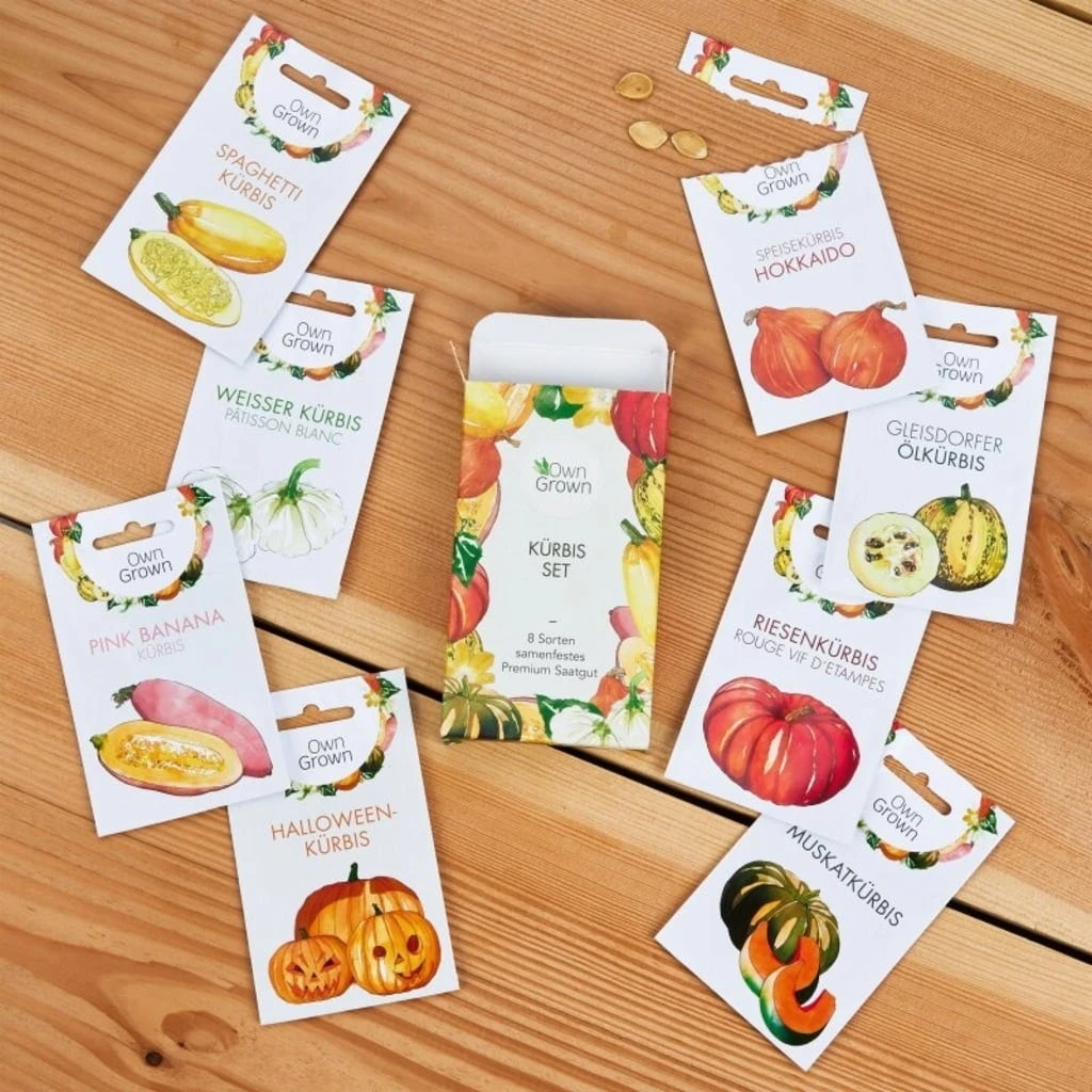 Semi Di Semi - 8 Zucche 3 Semi Di Semi - 8 Zucche - immagine 3