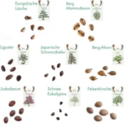 Set Di Semi - 8 Alberi Di Bonsai -Negozio Lush Orto Economico own grown set di semi 8 alberi di bonsai 1 set 1679248 it