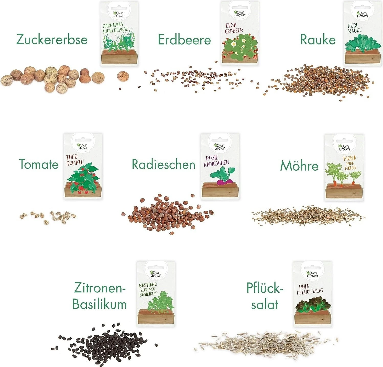 Starter Set Per Famiglie - Mini Giardino 4 Starter Set Per Famiglie - Mini Giardino - immagine 4