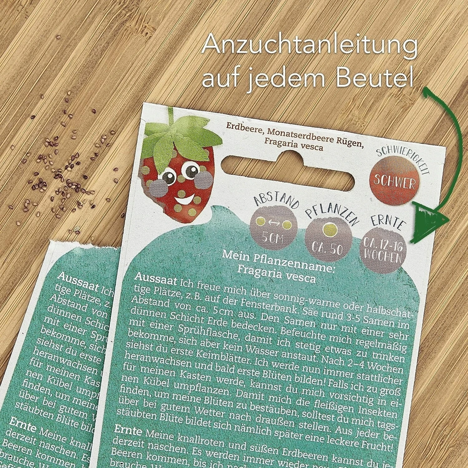 Starter Set Per Famiglie - Mini Giardino 7 Starter Set Per Famiglie - Mini Giardino - immagine 7