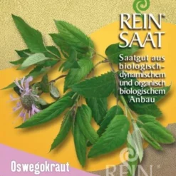 Negozio Lush Orto Economico -Negozio Lush Orto Economico reinsaat monarda fistulosa 1 paket 1665776 it