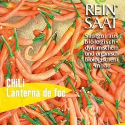 Peperoncino "Lanterna De Foc"