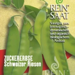 Pisello Dolce - Schweizer Riesen