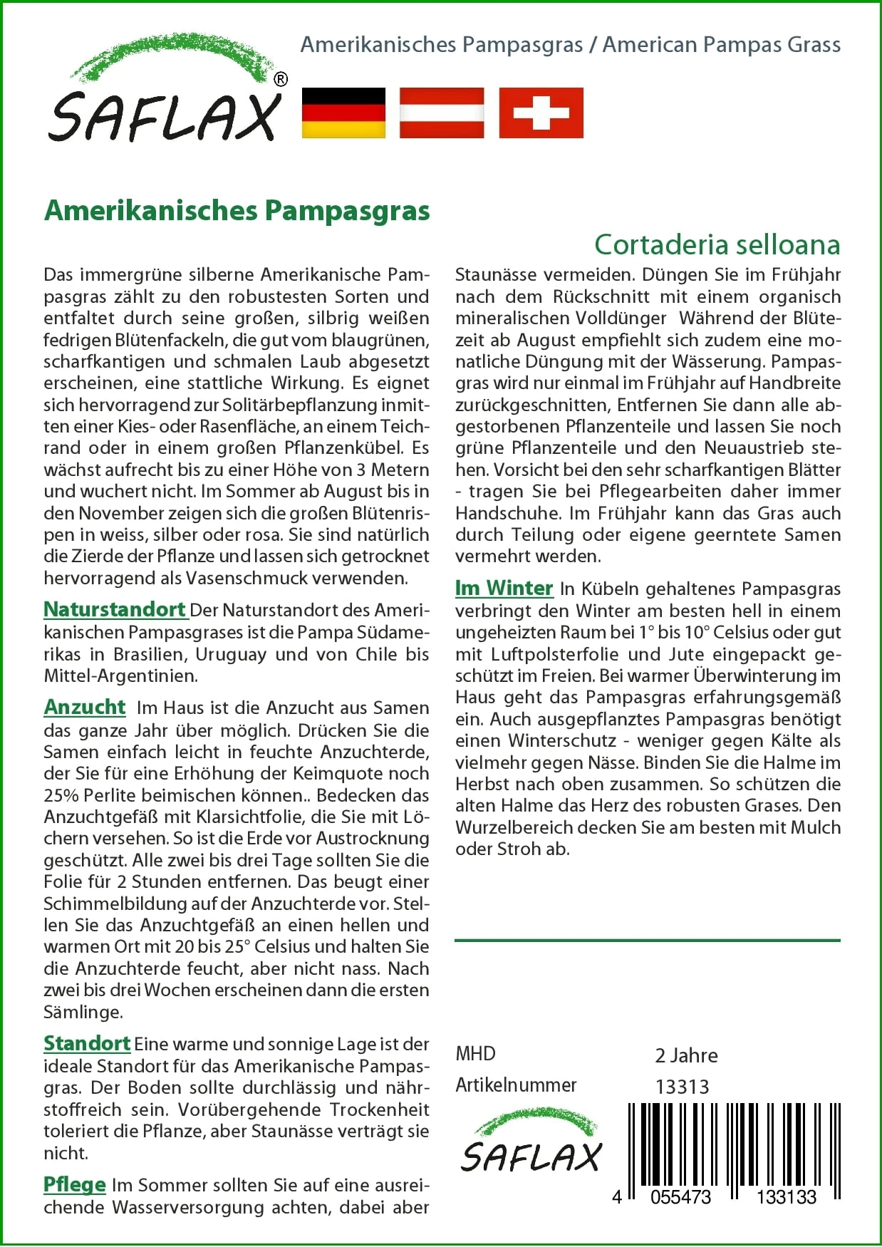 Erba Delle Pampas 2 Erba Delle Pampas - immagine 2