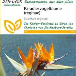 Uccello Del Paradiso (Reginae)