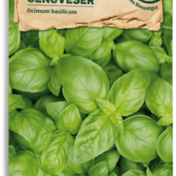 Basilico Genovese Bio