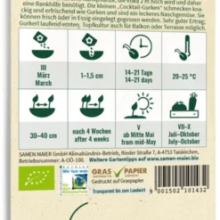 Cetriolino Messicano