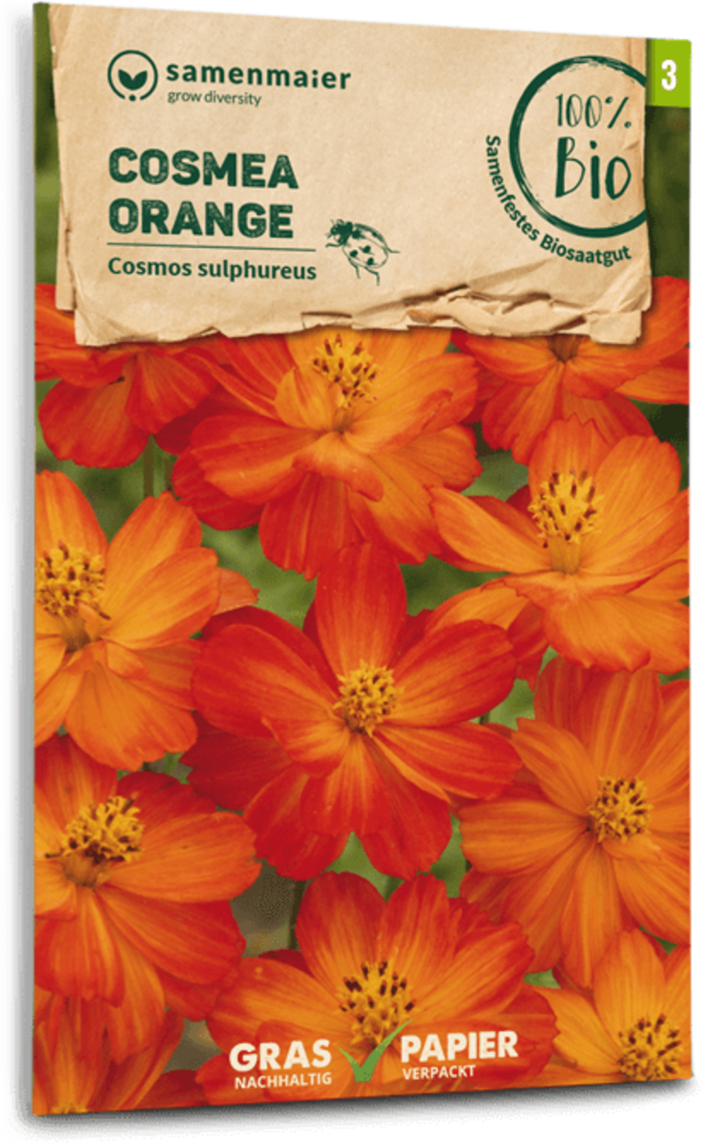 Cosmea Arancione Bio 1 Cosmea Arancione Bio
