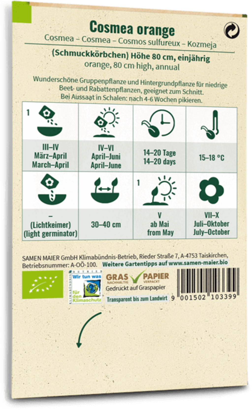 Cosmea Arancione Bio 2 Cosmea Arancione Bio - immagine 2