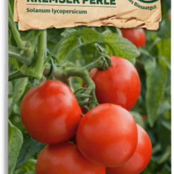 Pomodoro Bio - Kremser Perle