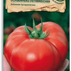 Pomodoro Bio - Ochsenherz Österreicher
