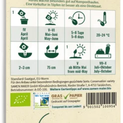 Zucca Bio - Patisson Blanc