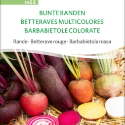 Barbabietola Rossa Bio - Bunte Randen