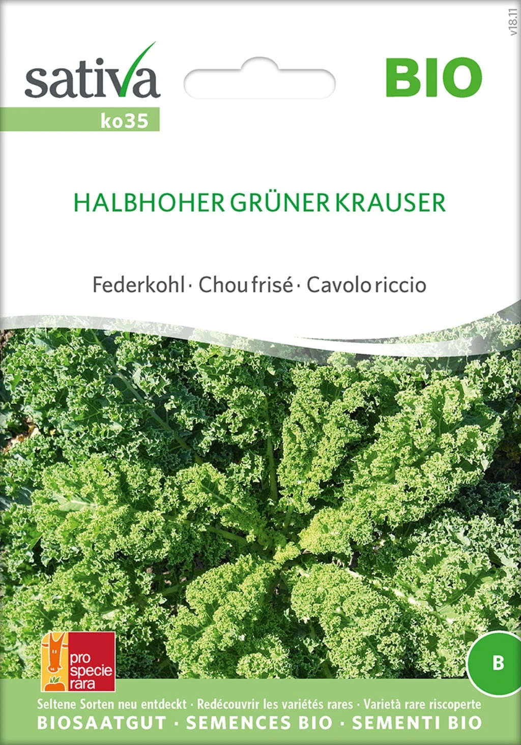 Cavolo Riccio Bio - Halbhoher Grüner Krauser 2 Cavolo Riccio Bio - Halbhoher Grüner Krauser - immagine 2