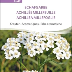 Erbe Aromatiche - Achillea Millefoglie Bio