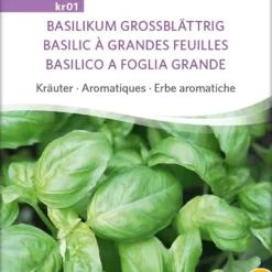 Erbe Aromatiche - Basilico A Foglia Grande Bio