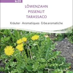Erbe Aromatiche - Tarassaco Bio