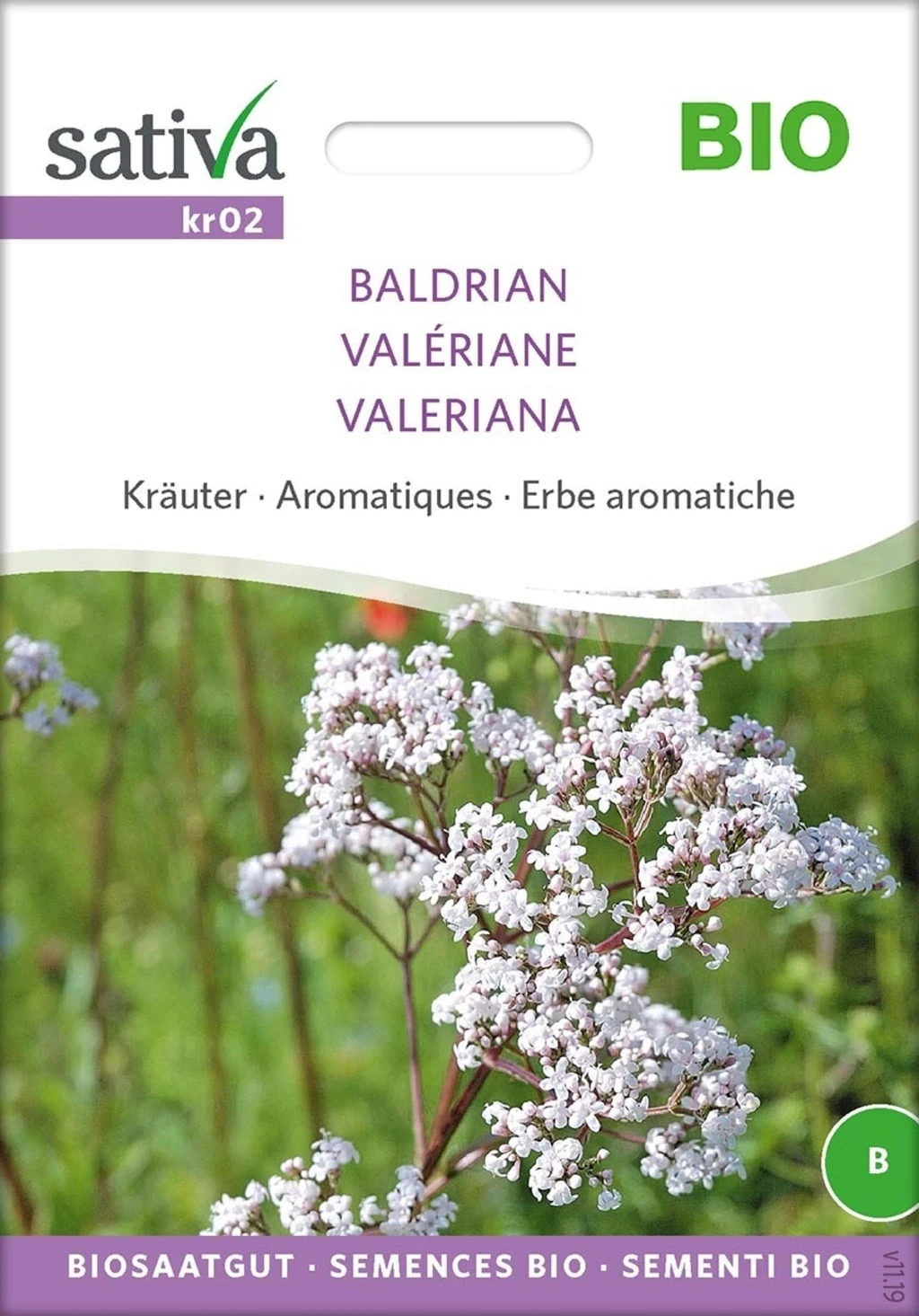 Erbe Aromatiche - Valeriana Bio 2 Erbe Aromatiche - Valeriana Bio - immagine 2