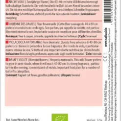 Fiore Biennale - Violaciocca Antoniana Bio