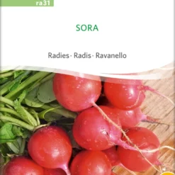 Ravanello Bio - Sora