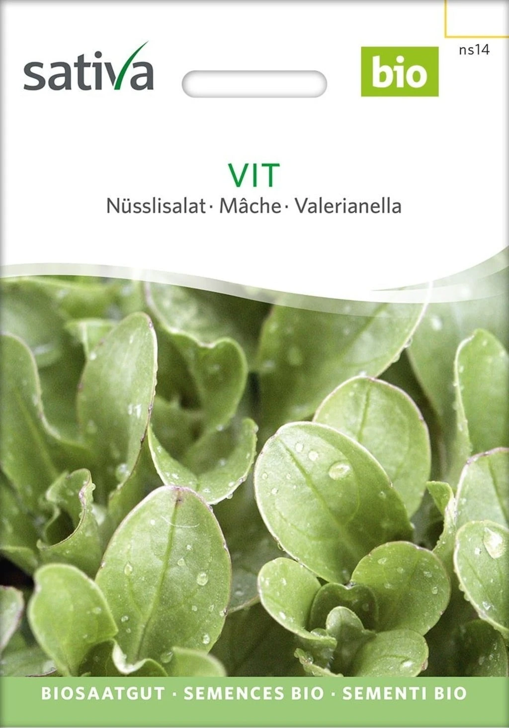 Valerianella Bio 2 Valerianella Bio - immagine 2