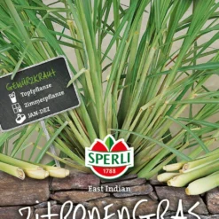 Negozio Lush Orto Economico -Negozio Lush Orto Economico sperli citronella 1 paket 1657035 it