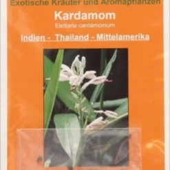 Cardamomo, 20 Semi