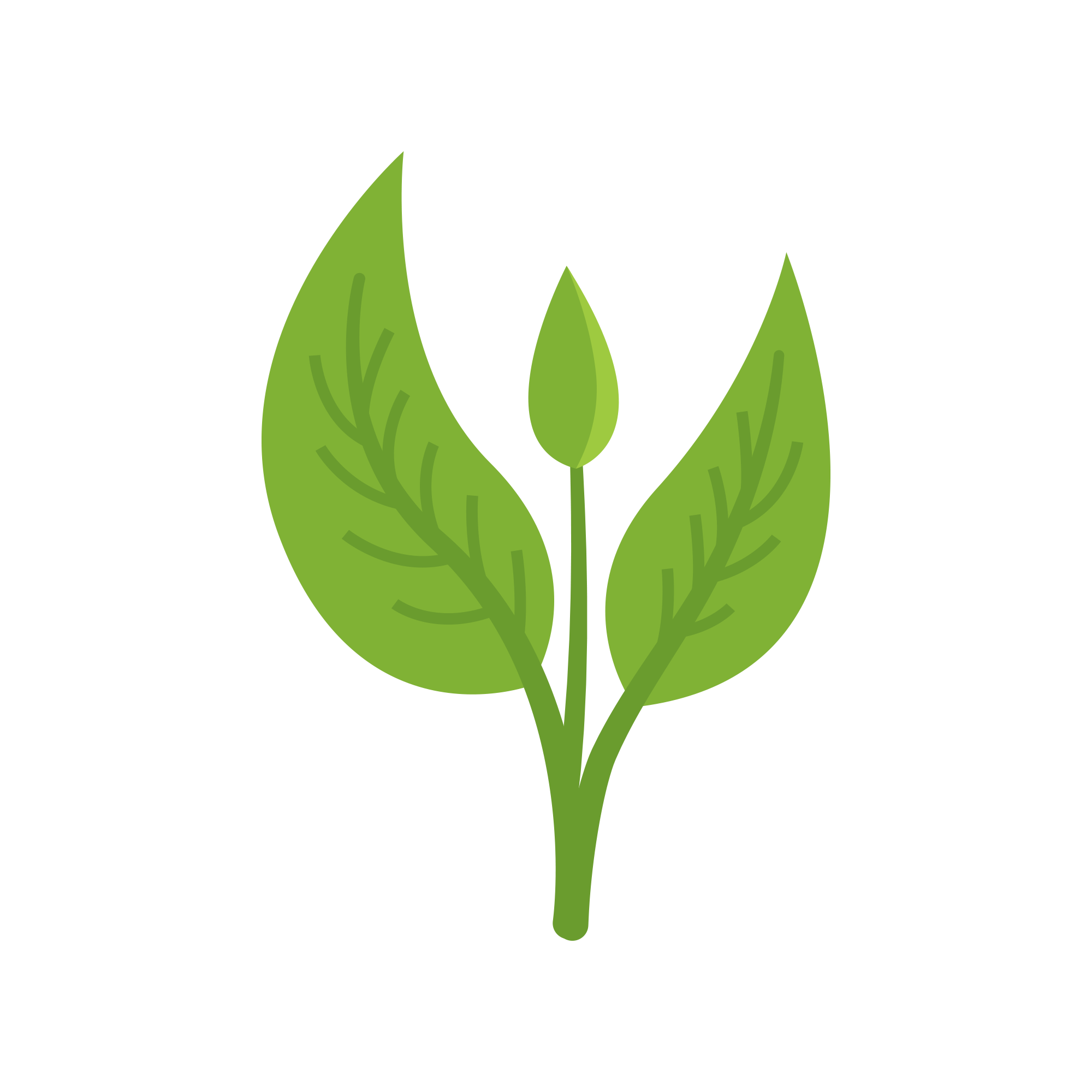 Negozio Lush Orto Economico